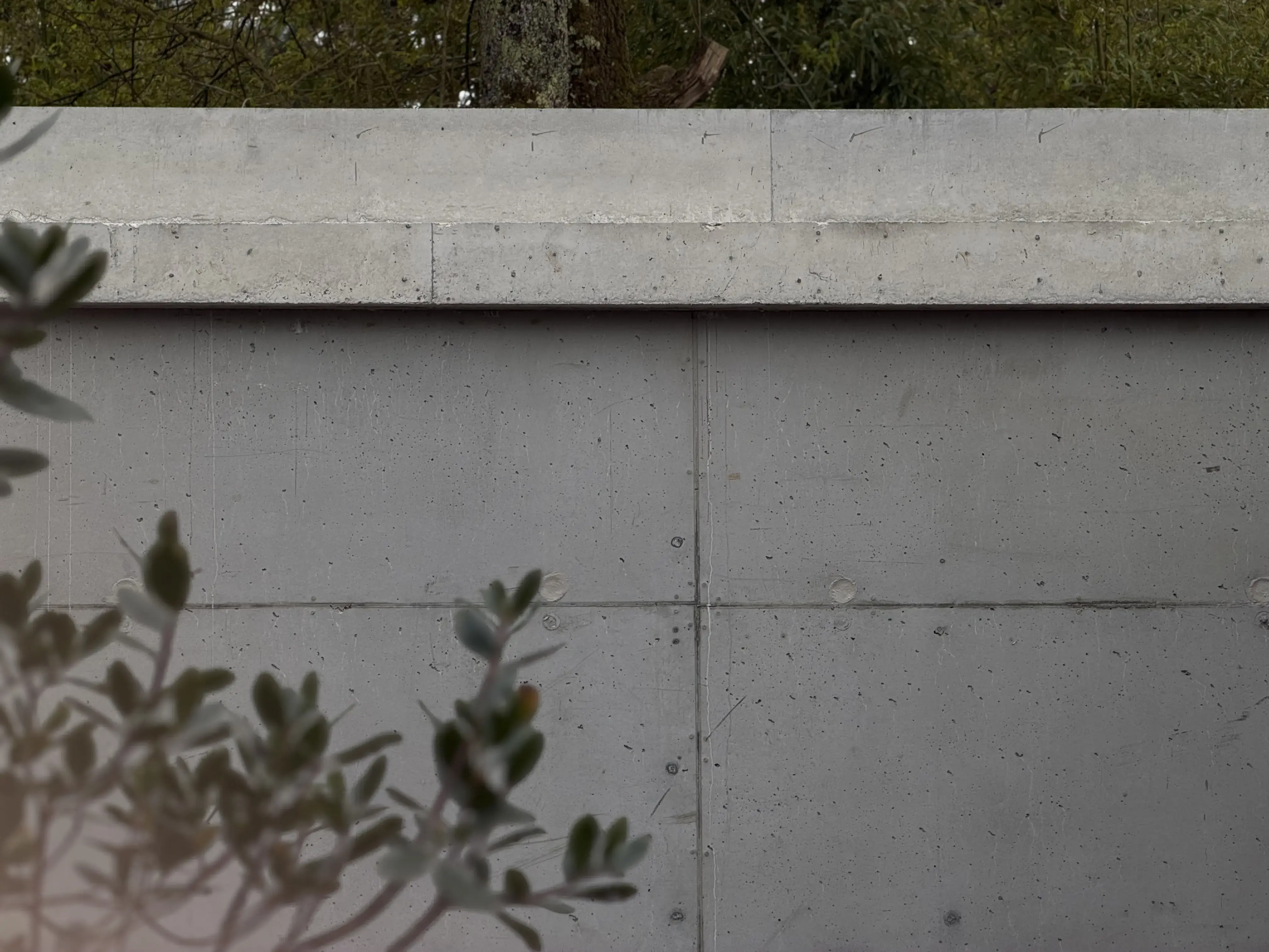 La Rencontre — extension Cap Ferret — vue 3