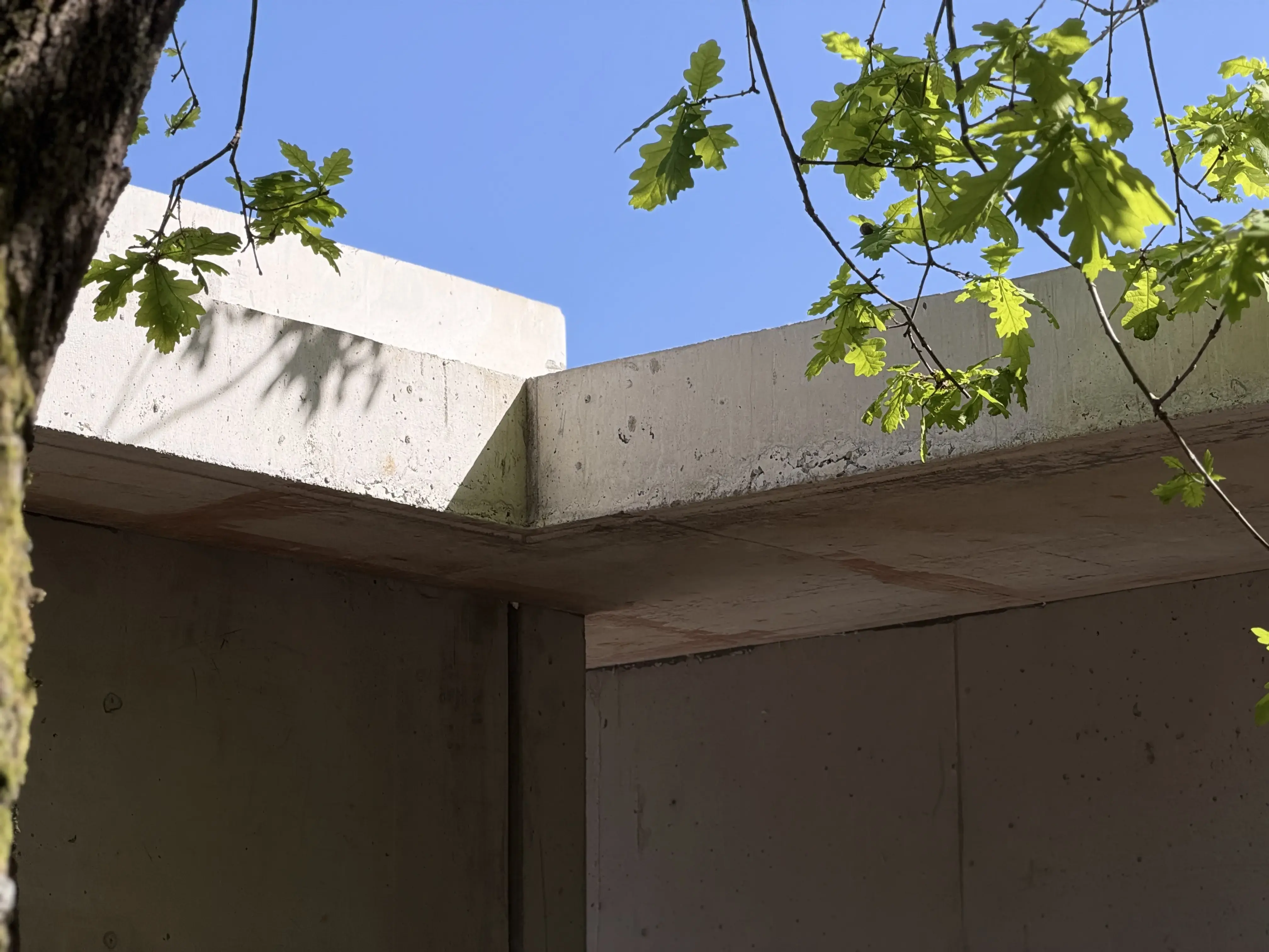 La Rencontre — extension Cap Ferret — vue 9
